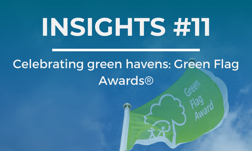 A Green Flag branded flag flies with the sky behind it. The text overlay reads 'INSIGHTS #11' at the top and 'Celebrating green havens: Green Flag Awards' below it, in white font against a blue background.